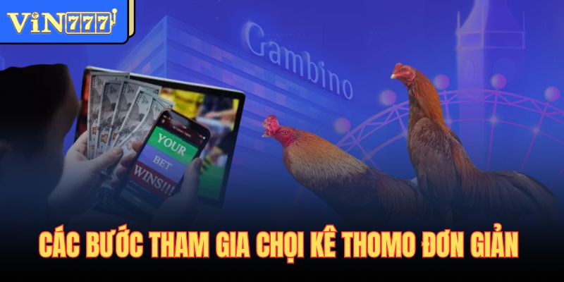 Các bước tham gia chọi kê Thomo đơn giản