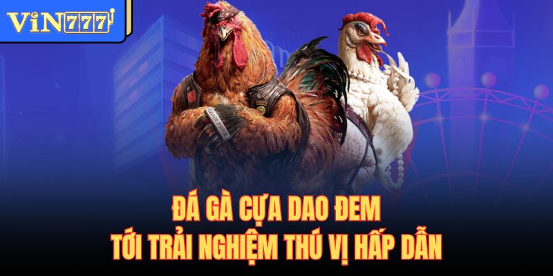 Đá gà cựa dao đem tới trải nghiệm thú vị hấp dẫn