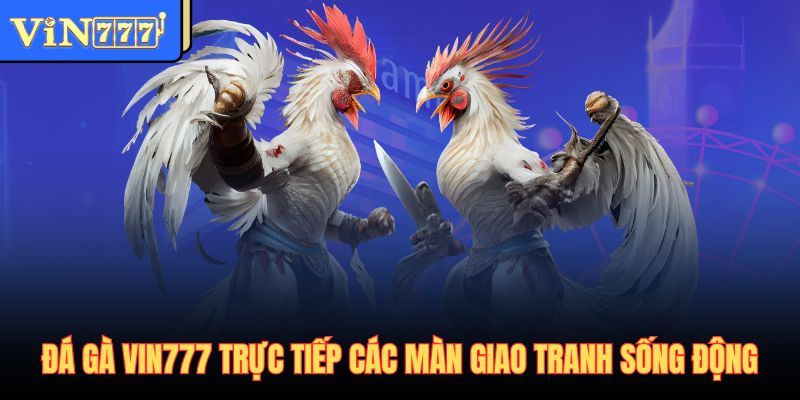 Đá gà Vin777 trực tiếp các màn giao tranh sống động