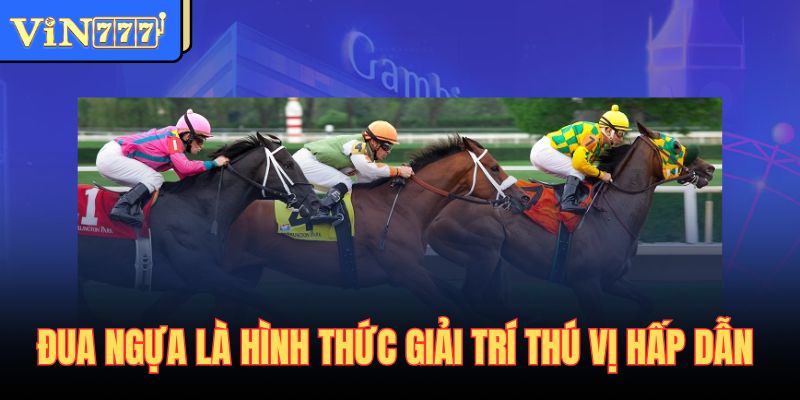 Đua ngựa là hình thức giải trí thú vị hấp dẫn