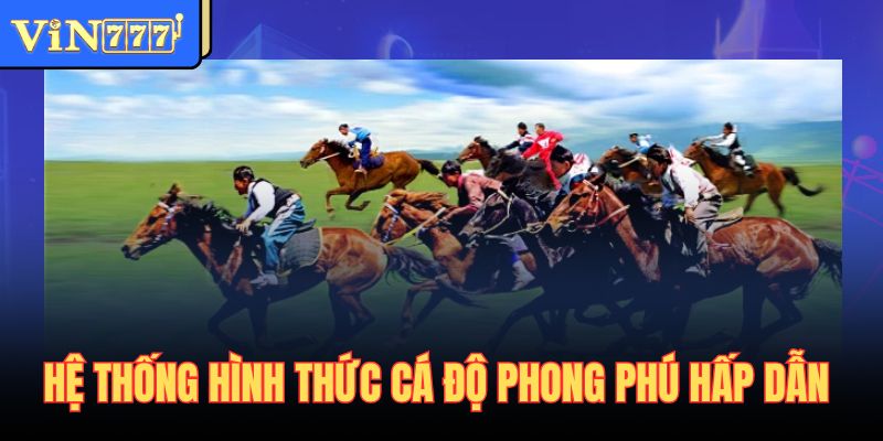 Hệ thống hình thức cá độ phong phú hấp dẫn