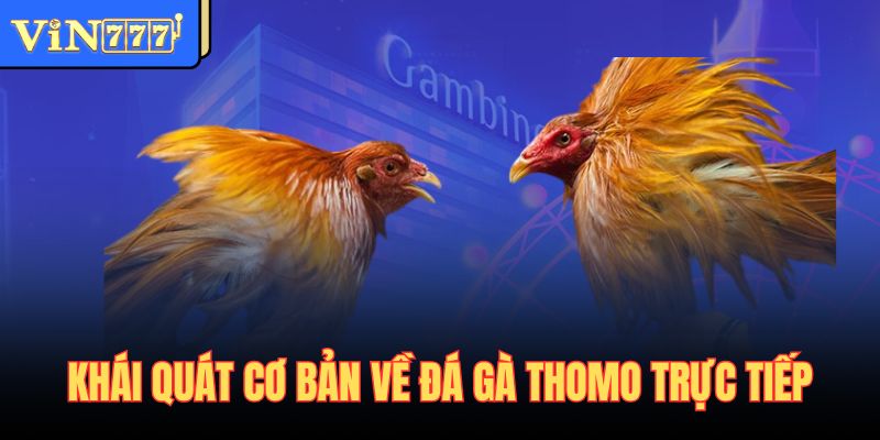 Khái quát cơ bản về Đá gà Thomo trực tiếp