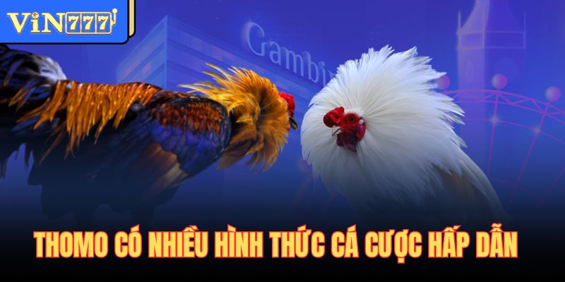 Thomo có nhiều hình thức cá cược hấp dẫn